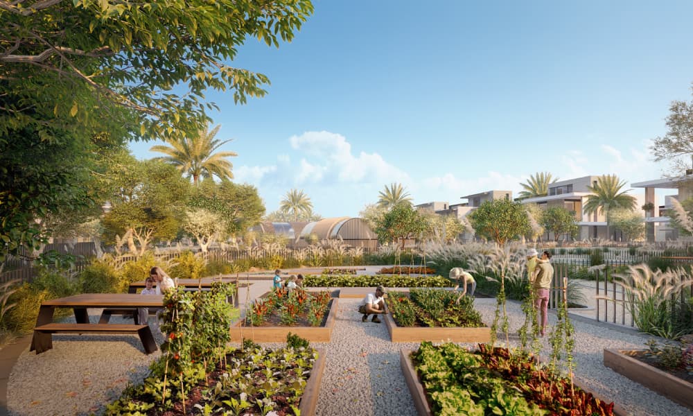 Farm Gardens